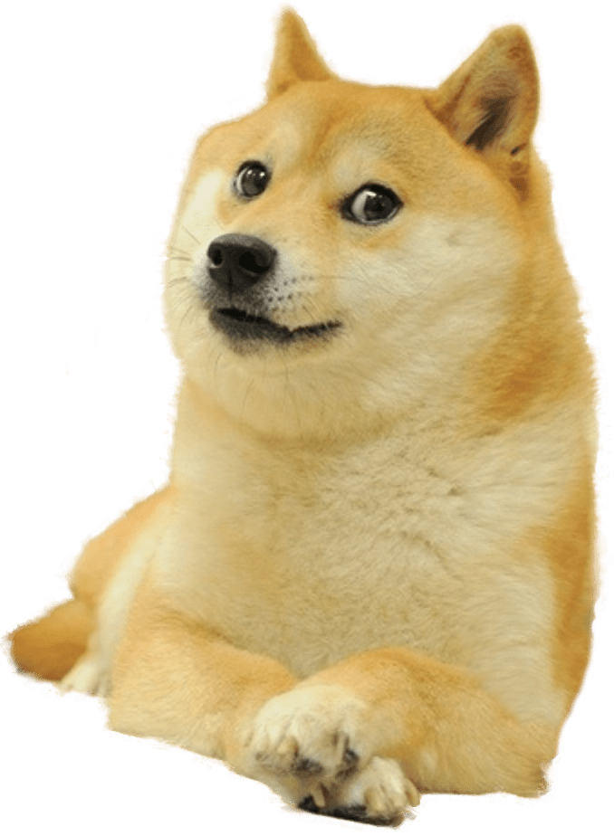 Doge Full Smiling - Doge Png (678x924), Png Download