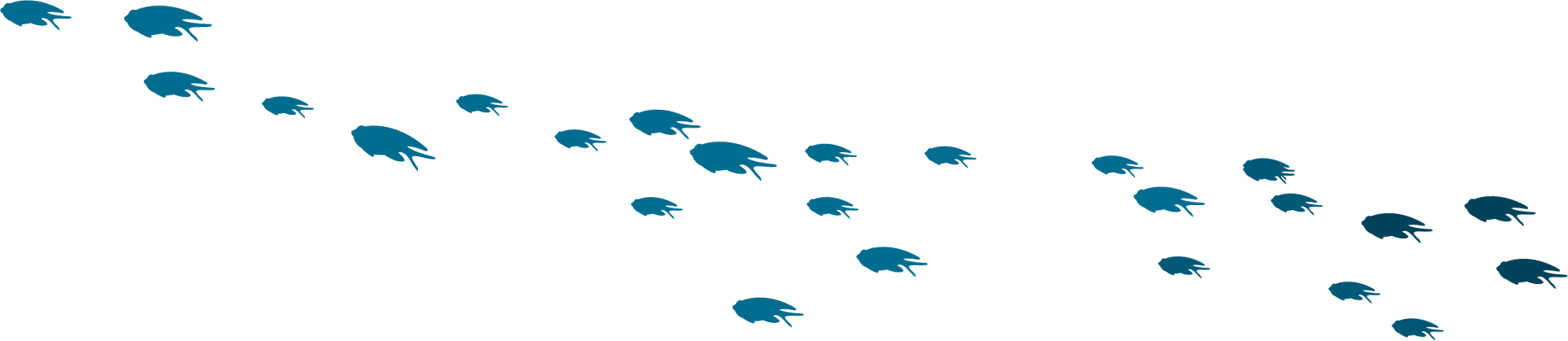 90 212 875 76 - Silhouette (1929x419), Png Download