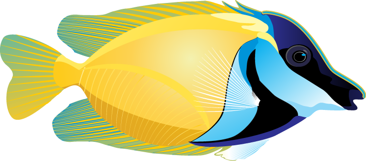 Marine Fish Clipart Face - Ocean With Fish Clip Art (746x328), Png Download