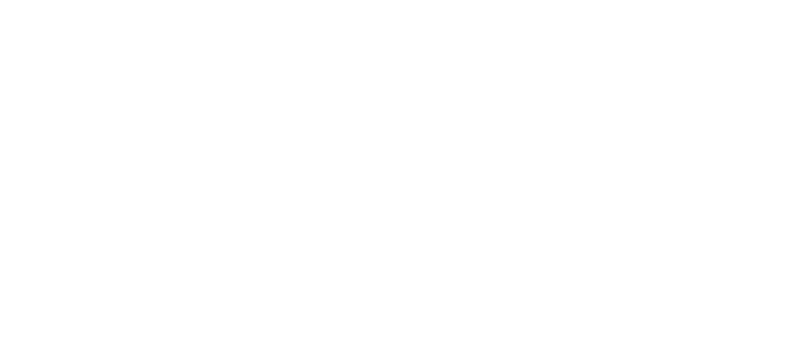 Partner Schools Logos - Texas Tech Red Raiders Ncaa Applique & Embroidered (750x371), Png Download