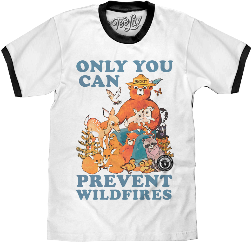 Only You Can Prevent Wildfires - Smokey The Bear (999x1024), Png Download