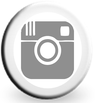 Mai Instagram Circle Grey Icon 1 Small - Instagram Icon Transparent Gif (340x360), Png Download