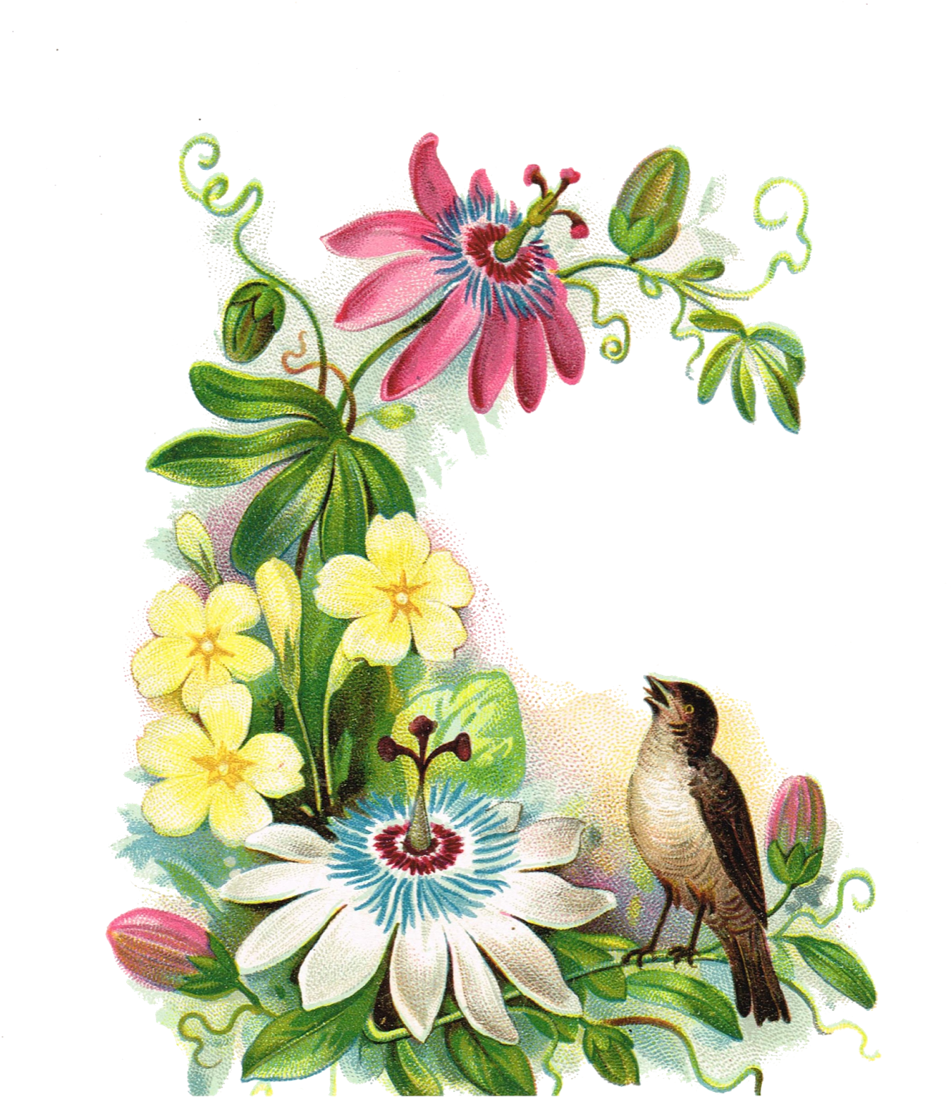 Printable Greeting Tags With Antique Floral Images - September New Month Quotes (1348x1600), Png Download