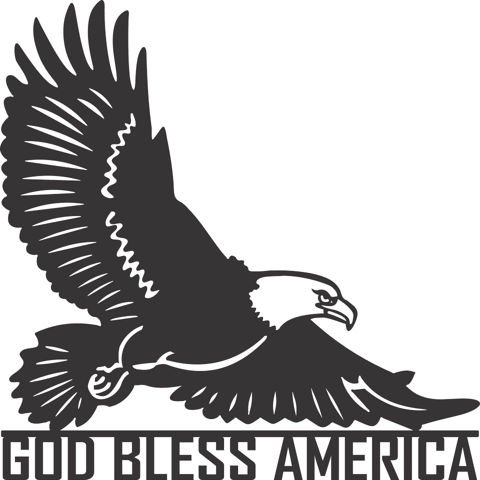 God Bless America Eagle - Patriotism (960x960), Png Download