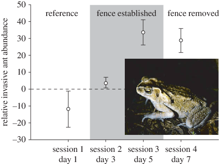 Effects Of Native Toad Exclosure On Invasive Yellow - Yellow Crazy Ant (451x338), Png Download