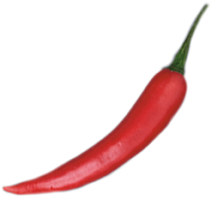 Bird's Eye Chili (519x519), Png Download