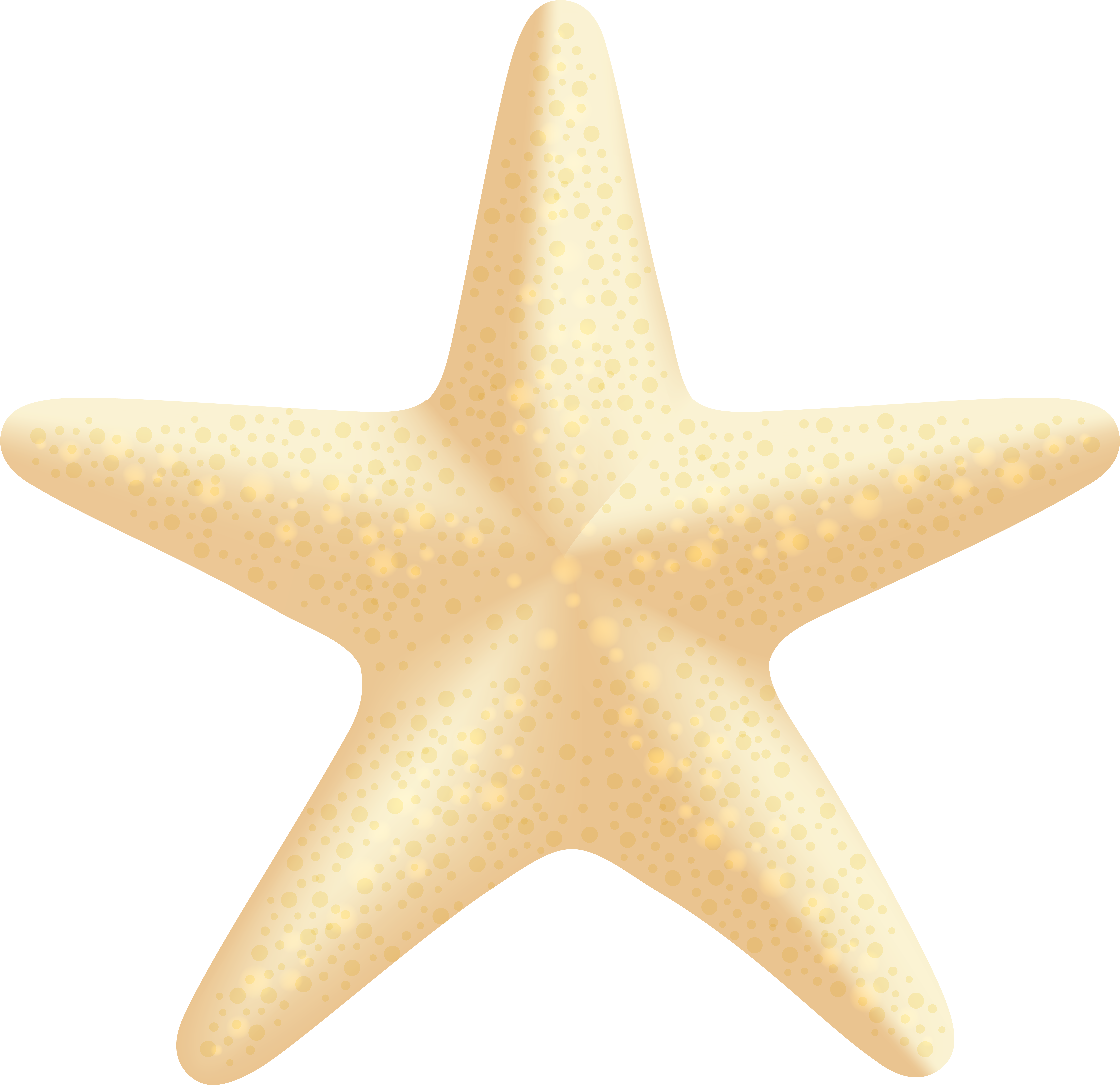 Sea Star Png (8000x7752), Png Download