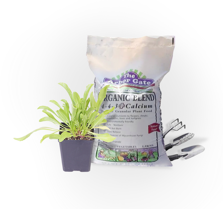 Organic Blend Food - Flowerpot (725x679), Png Download