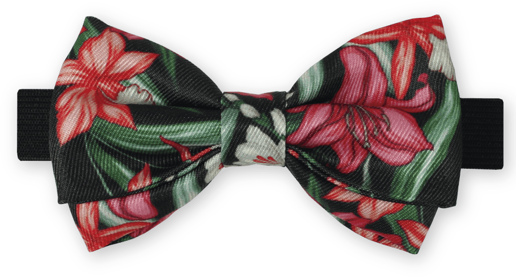 Gravata Borboleta Floral Arlindo Grund Dois Maridos - Bow Tie (1042x1042), Png Download