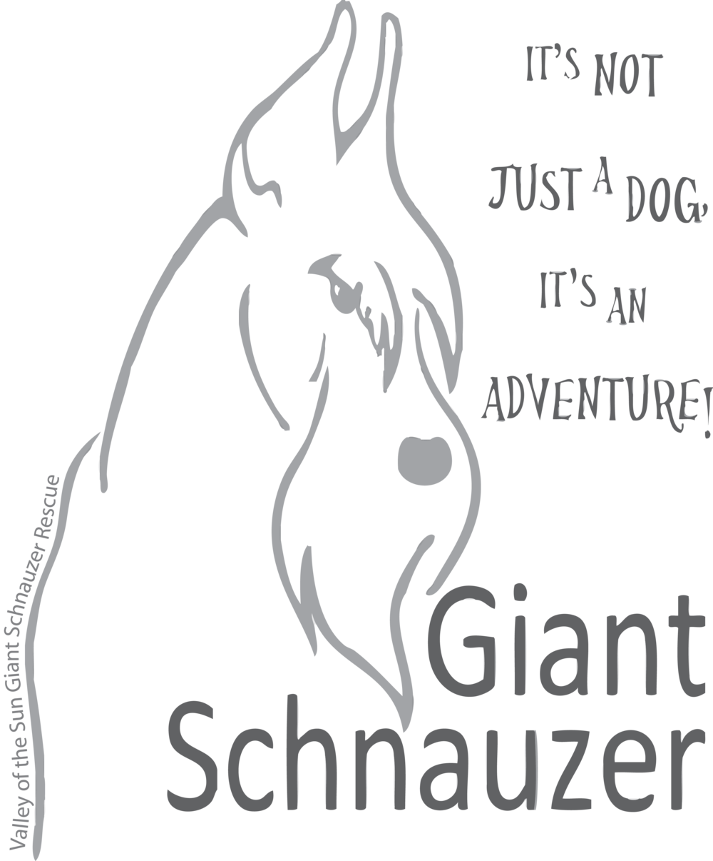 1001 Dg T Adventure Head Silhouette Light Shirt Dkgreyprint - Bad Homburg Vor Der Höhe (1000x1206), Png Download
