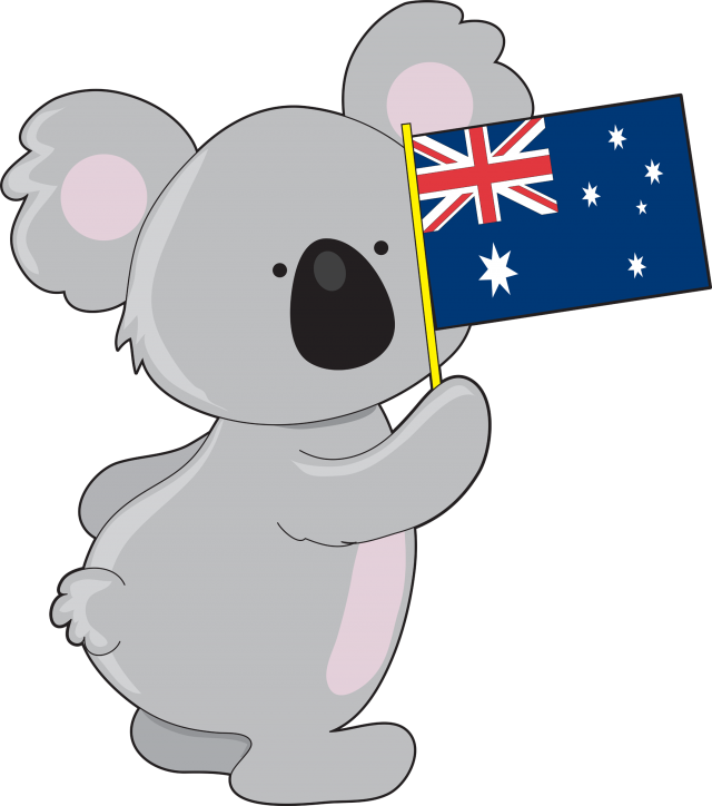 Koala Lemon Lion Png - Australia Koala Clip Art (640x724), Png Download