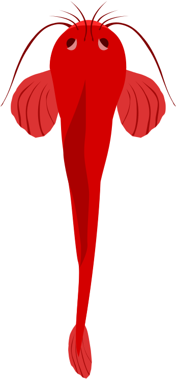 Collection Of Cat Fish Cliparts - Illustration (698x768), Png Download