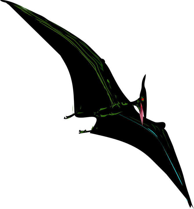 Flying Bird Png 16, Buy Clip Art - Coloring Books Jurassic World: Creative Coloring Animals (669x720), Png Download