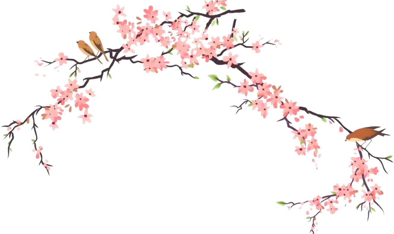 Report Abuse - Japanese Cherry Blossom Drawings (1400x788), Png Download