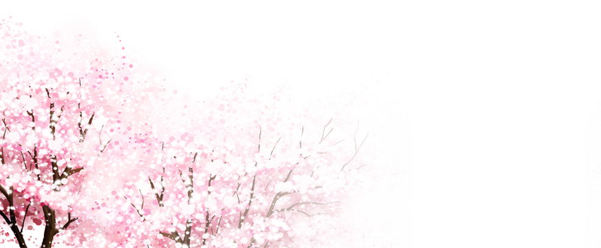 Cherry Blossoms Tree - Cherry Blossom (873x360), Png Download