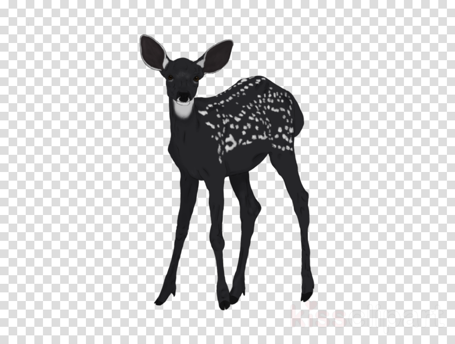 Wildlife Clipart Reindeer Antler Antelope - Female Symbol Transparent Background (900x680), Png Download