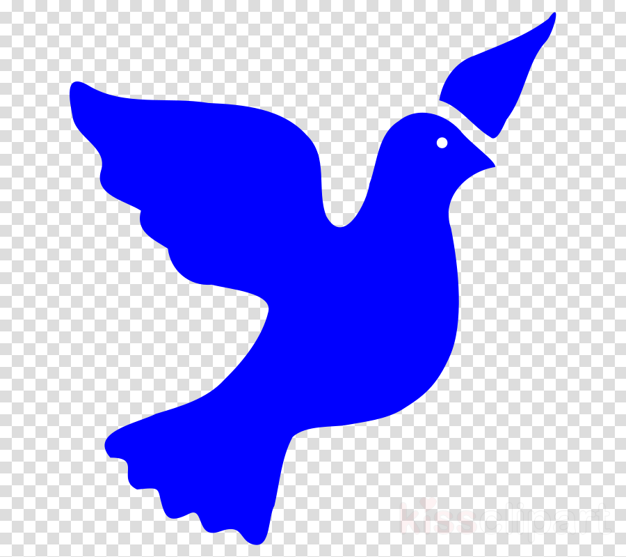 Blue Dove Png Clipart Pigeons And Doves Clip Art - Transparent Background Lp Record Clip Art (900x800), Png Download