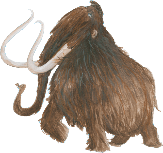 2015 Harmen Van Straaten / Rijksmuseum Van Oudheden - Masai Lion (1134x850), Png Download