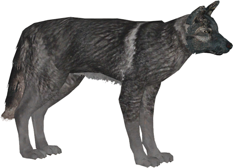 German Shepherd Dog 5 - Wiki (752x752), Png Download