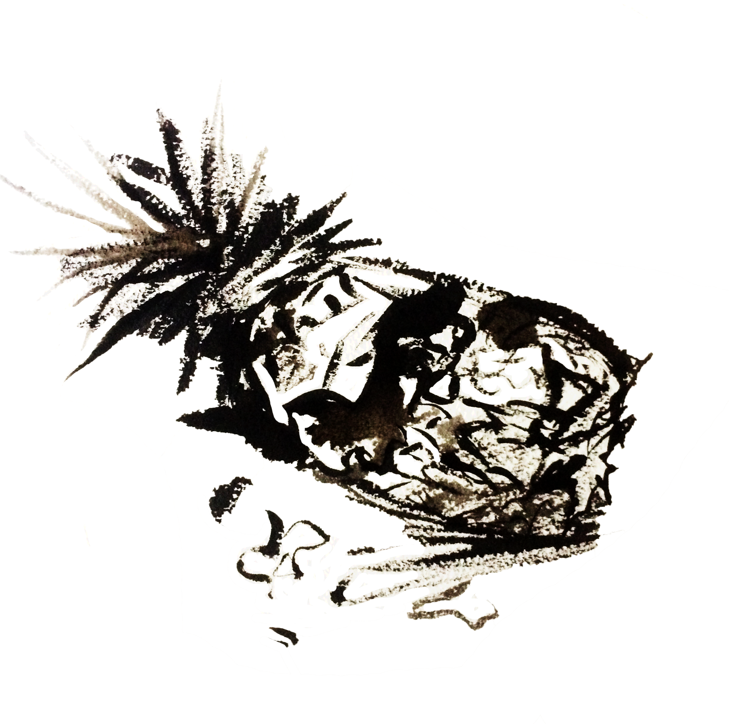 Ink Pineapple, A Small Image Inside Of The Zine - Illustration (2448x2448), Png Download