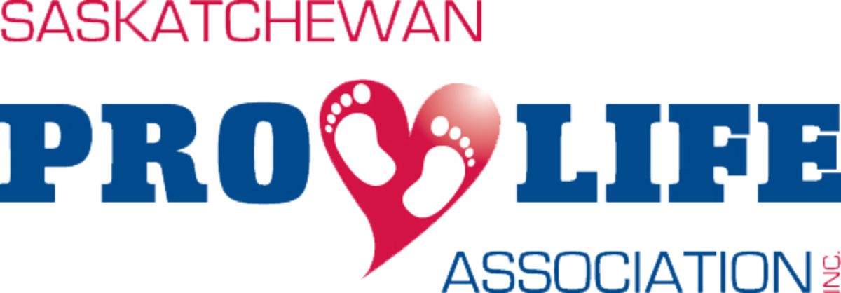 "respect Life" Quotes - Taekwondo (1200x418), Png Download