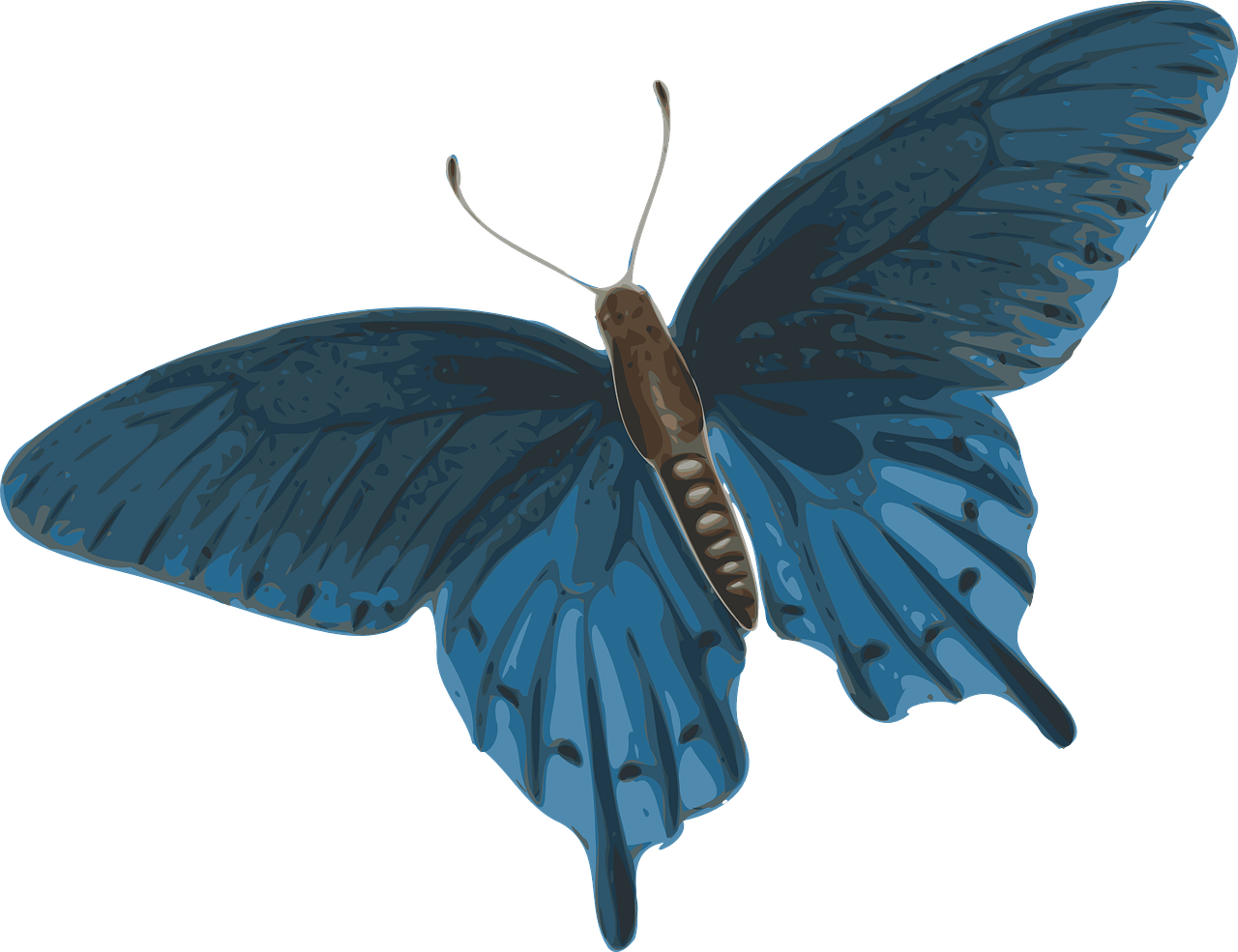 Butterfly Blue Beautiful Fly Png Image - Butterfly Flying Gif Png (1280x985), Png Download