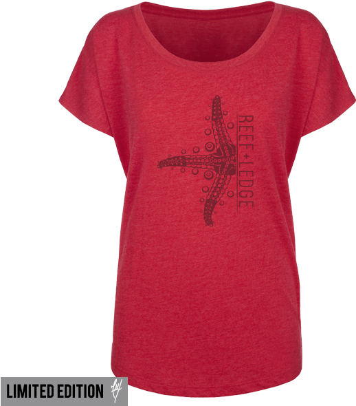 Sea Star - T-shirt (600x600), Png Download