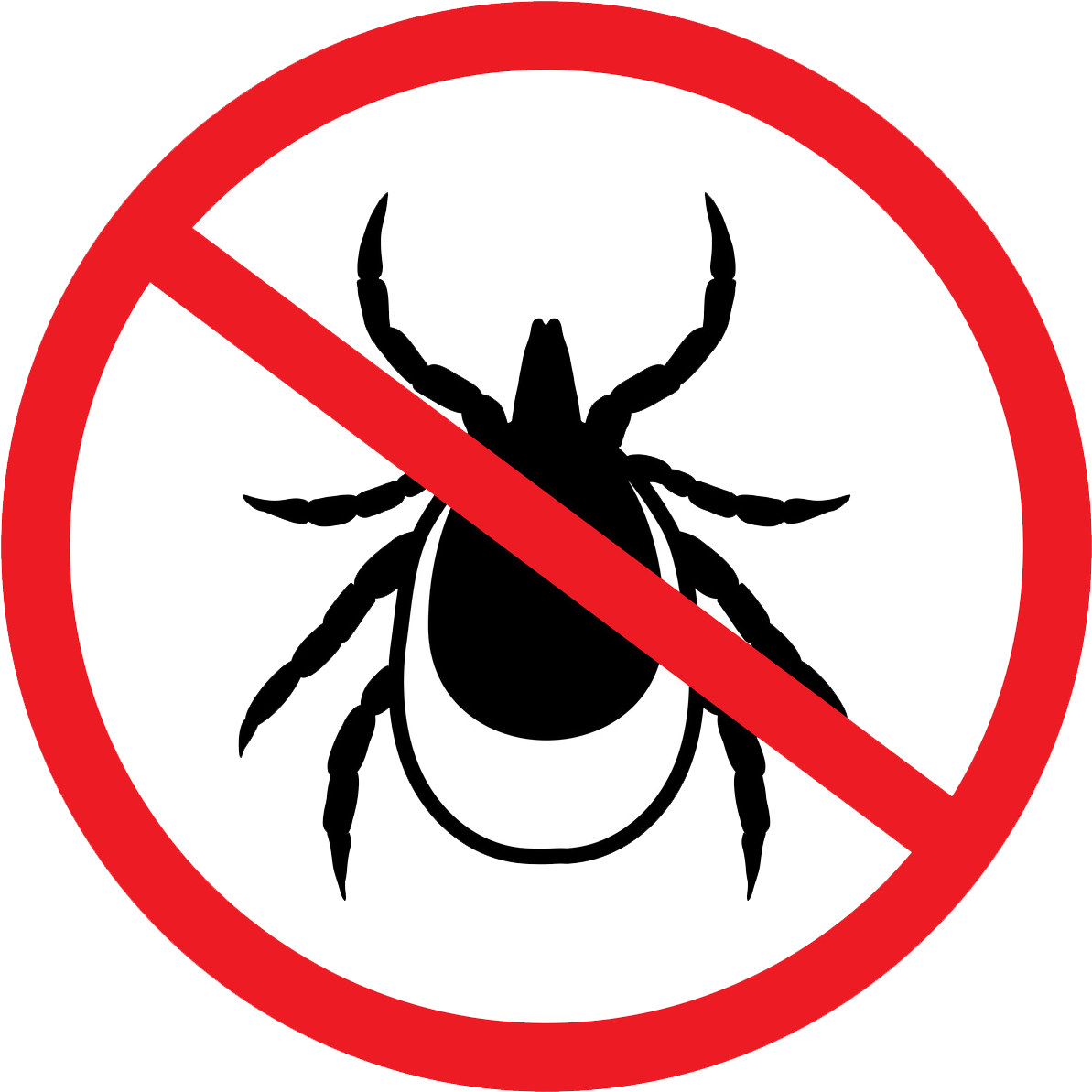 Tick - Covent Garden (1378x1378), Png Download