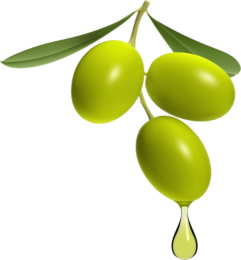 Free Png Olive Image Png Images Transparent - Olive Png Transparent (480x517), Png Download