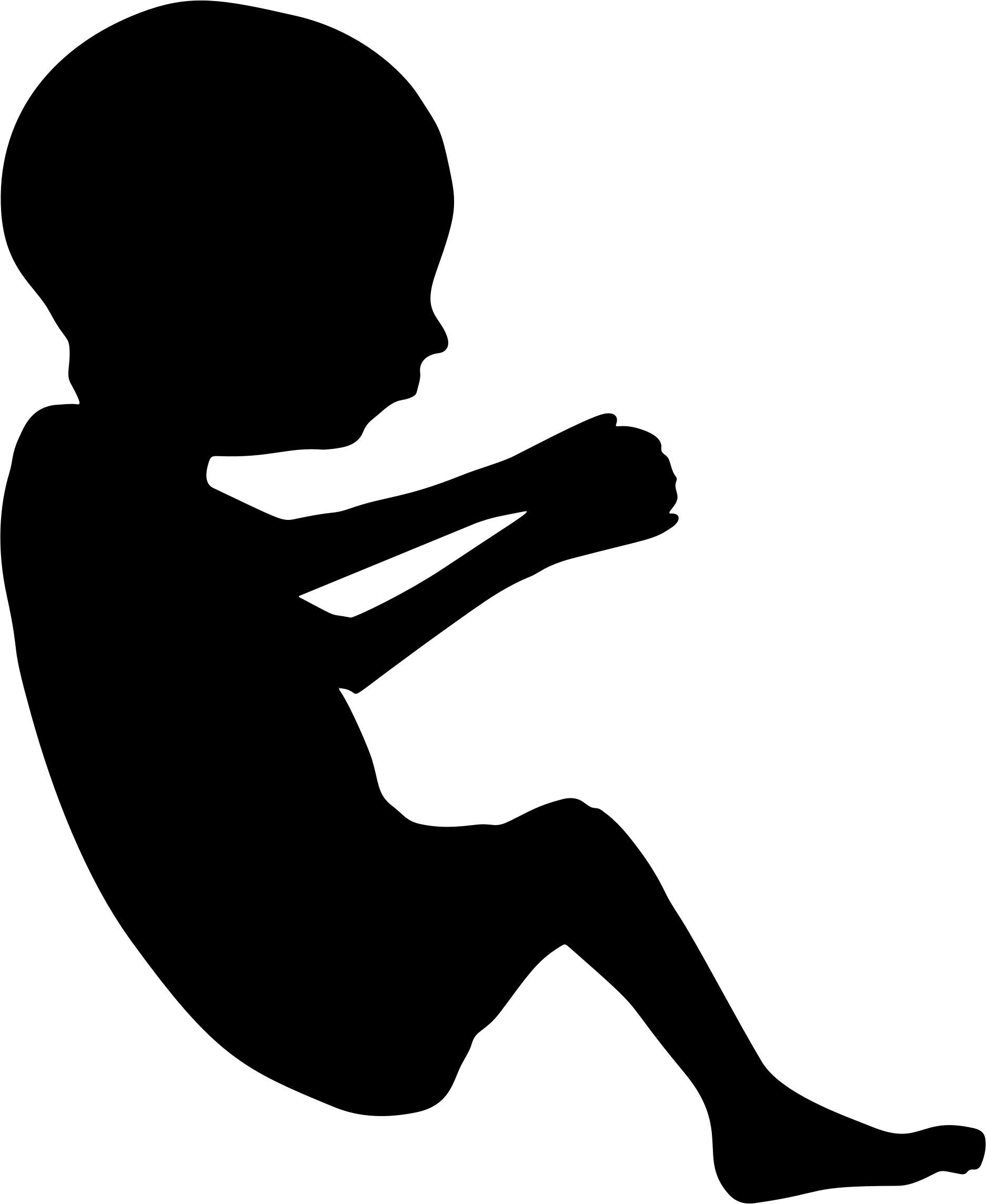 This Free Icons Png Design Of Fetus Silhouette Minus (1874x2288), Png Download