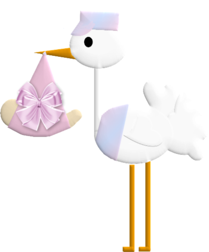 Cigogne Fille Digiscrap Freebies Png S Pinterest - Infant (1000x1000), Png Download