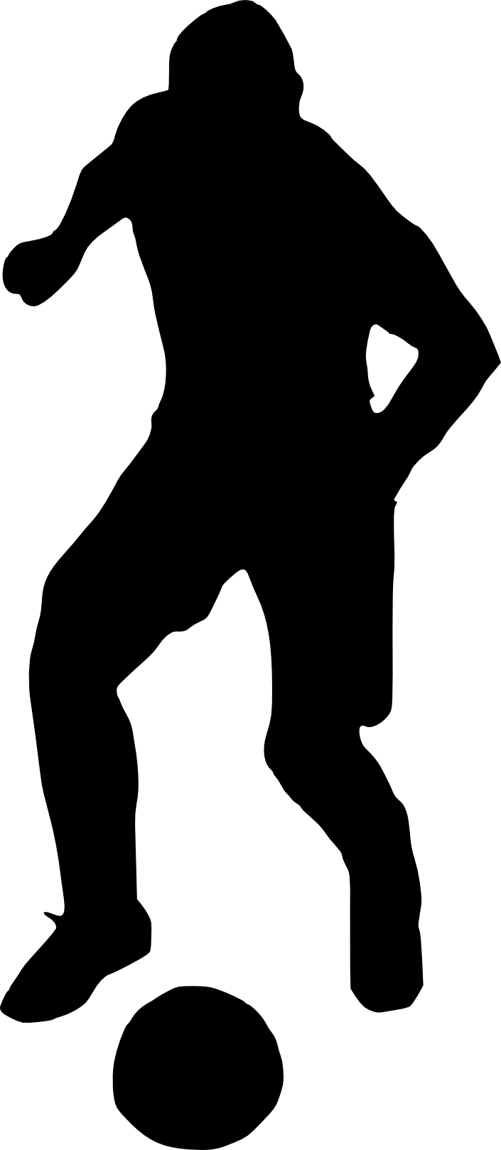 Free Png Football Player Silhouette Png Images Transparent - Football Silhouette Png (480x1102), Png Download