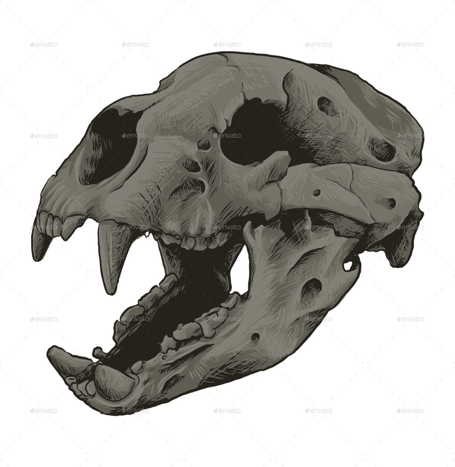 Bear Skull Bear Skull - Giant Short Faced Bear Skull (1500x1542), Png Download