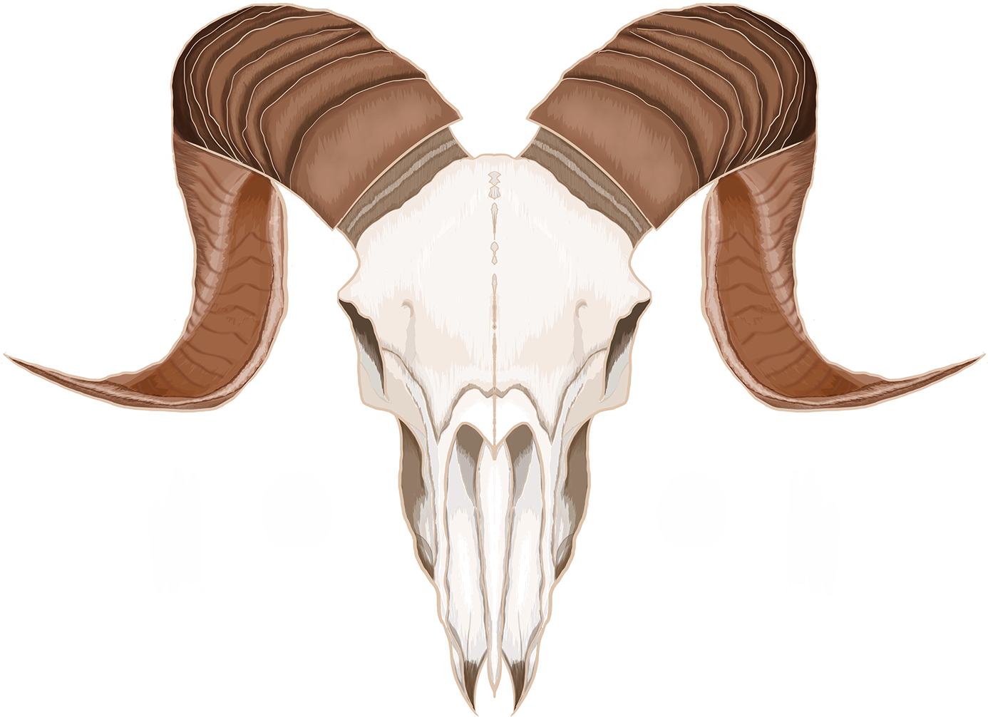 Behance (1400x1400), Png Download