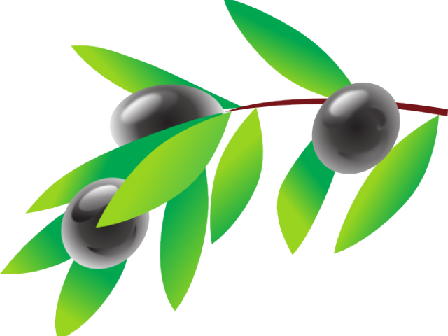 Olive Clipart (640x480), Png Download