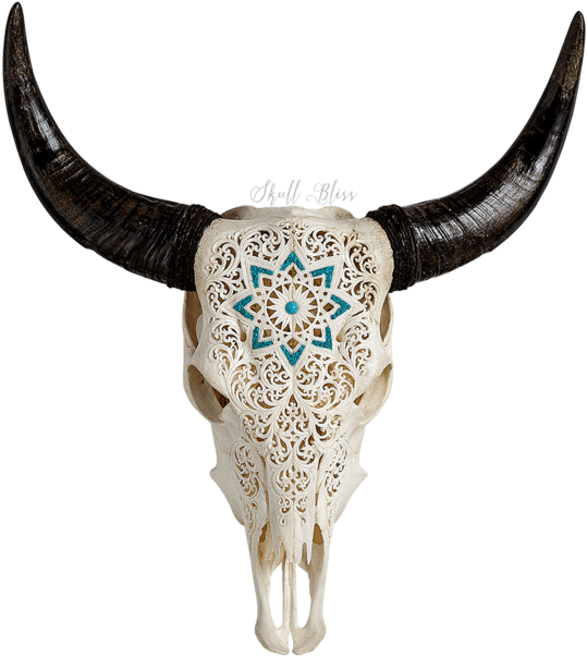 Carved Cow Skull // Xl Horns - Skull (645x645), Png Download