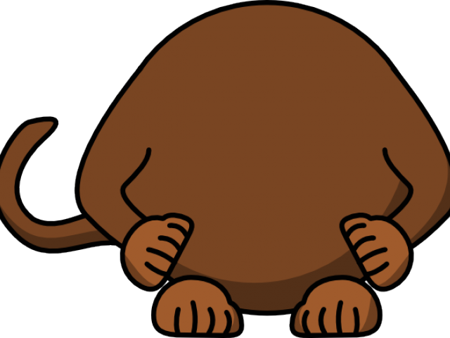 Free On Dumielauxepices Net Body - Cartoon Monkey Png Vector (640x480), Png Download