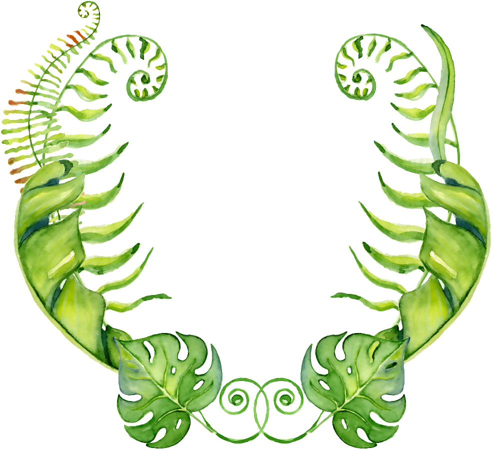 Hand-painted Four Vivid Leaves Png Transparent Material (1024x1024), Png Download