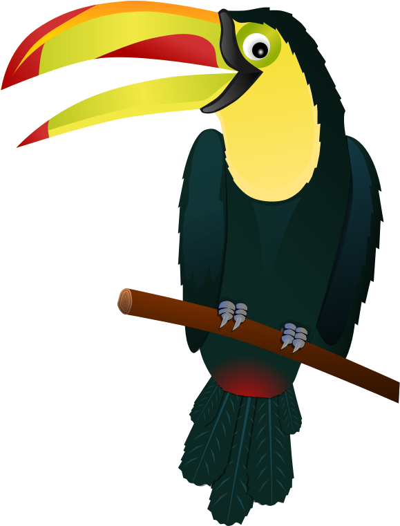 Tropical Plants Plants Clipart Flowers Png Image And - Toucan Vector Png (800x800), Png Download