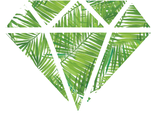 Diamond, Dimond, Ferns, Hipster, Tumblr - Palm Tree Diamond (500x500), Png Download