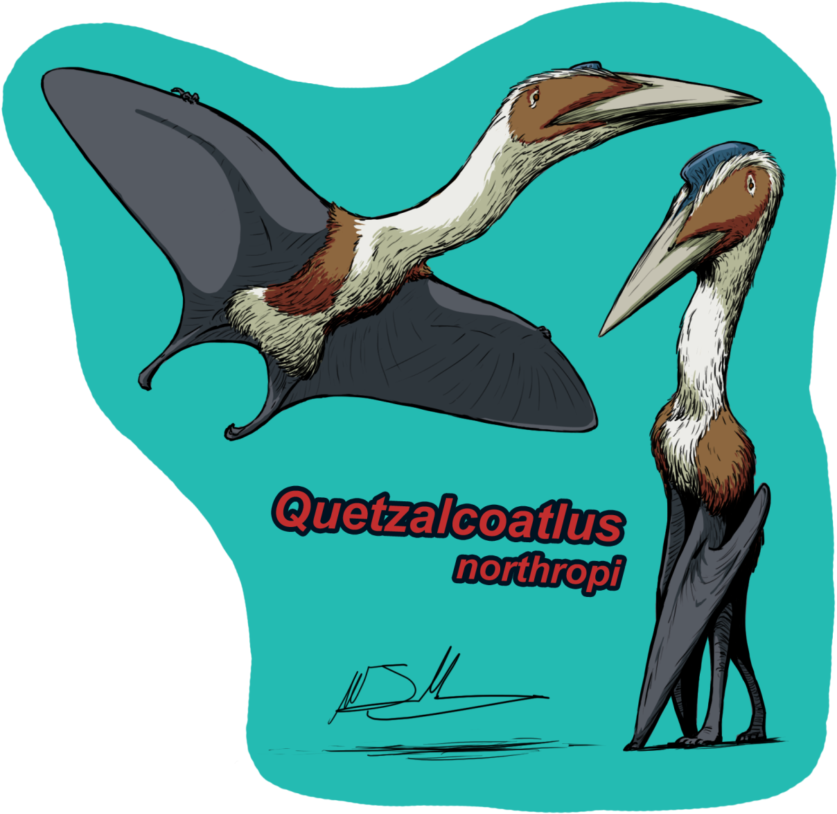 Cyrus Mccallum Quetzalcoatlus Northropi Dinosaurios - Quetzalcoatlus (1280x1280), Png Download