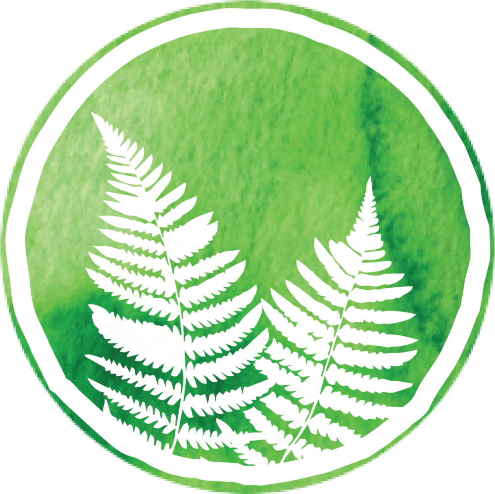 Healingfern Icon Transbg - Jpeg (1000x999), Png Download