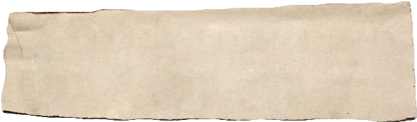 11310883 Collection Of White Ripped Pieces Of News - Tan (997x336), Png Download