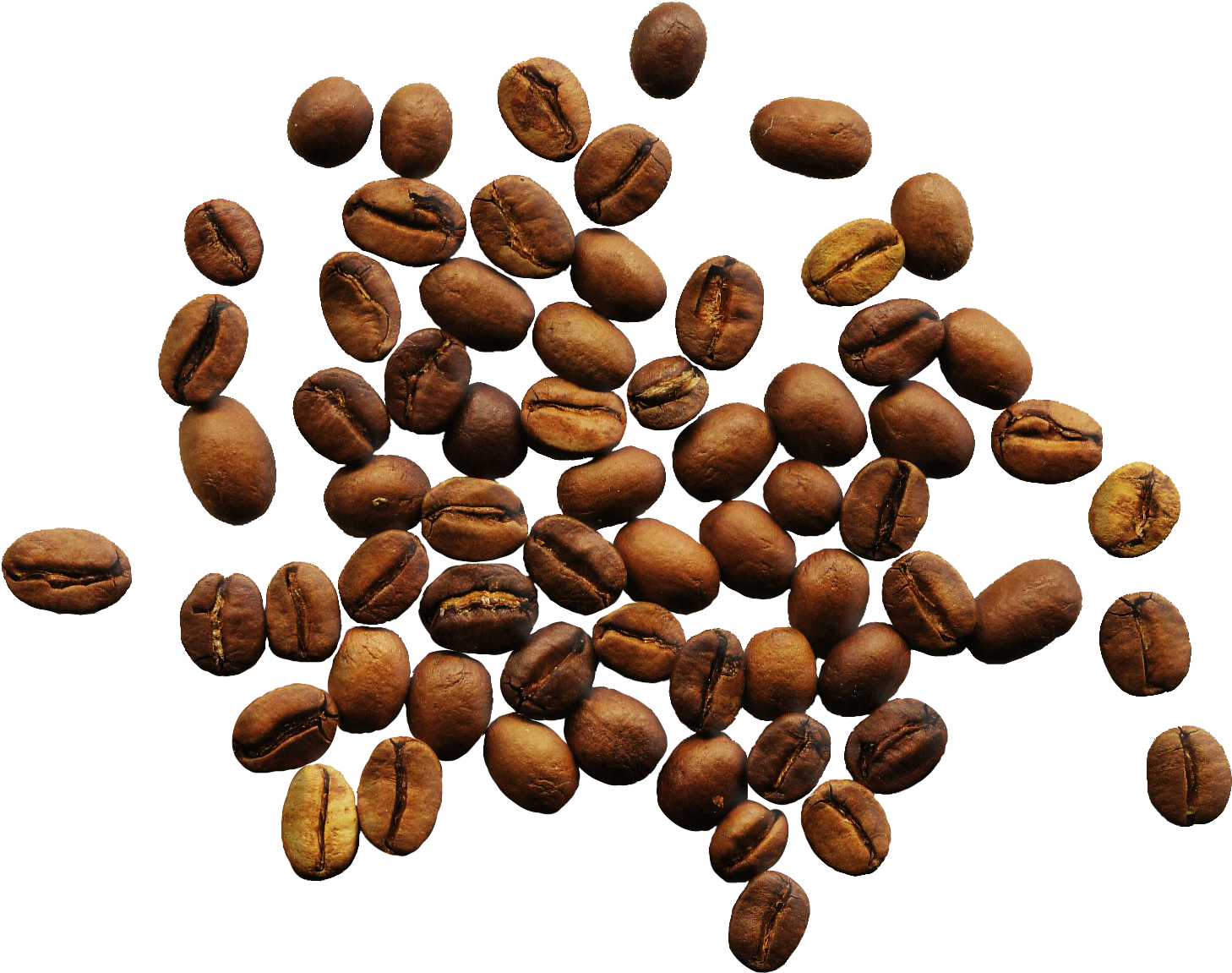 Coffee Beans Png - Coffee Vs Tea Infographic (1522x1298), Png Download