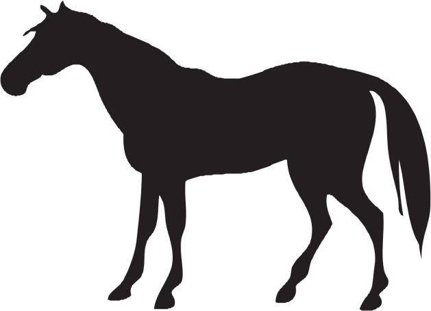 Horse Icon Png - Horse And Cow Silhouette (629x454), Png Download