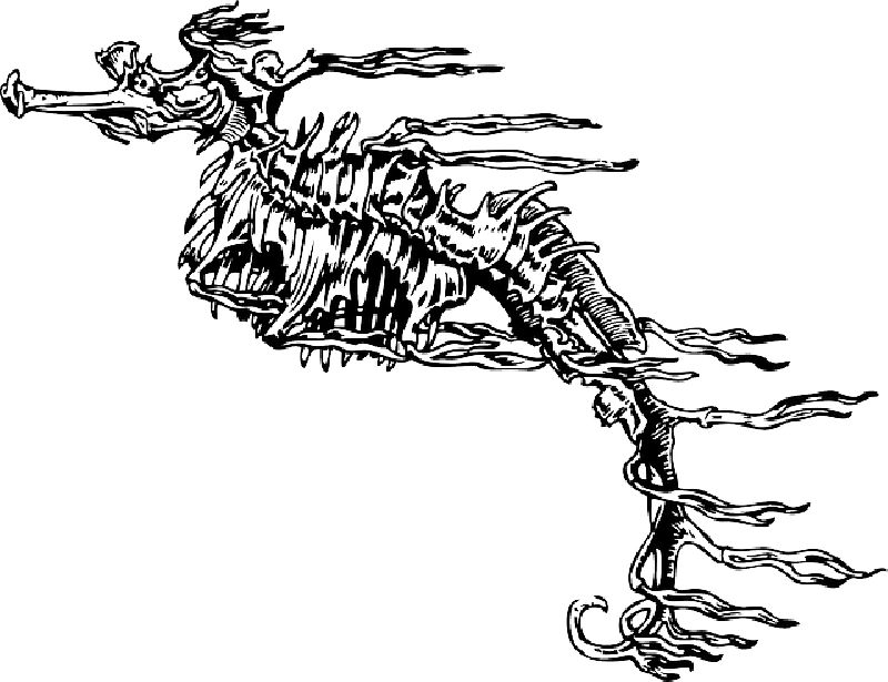 Dead, Cartoon, Bones, Horse, Fish, Seahorse, Skeleton - Between The Worlds Coloring Book [book] (640x492), Png Download