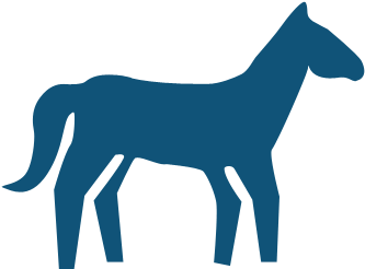 By Admin - Horse (365x329), Png Download