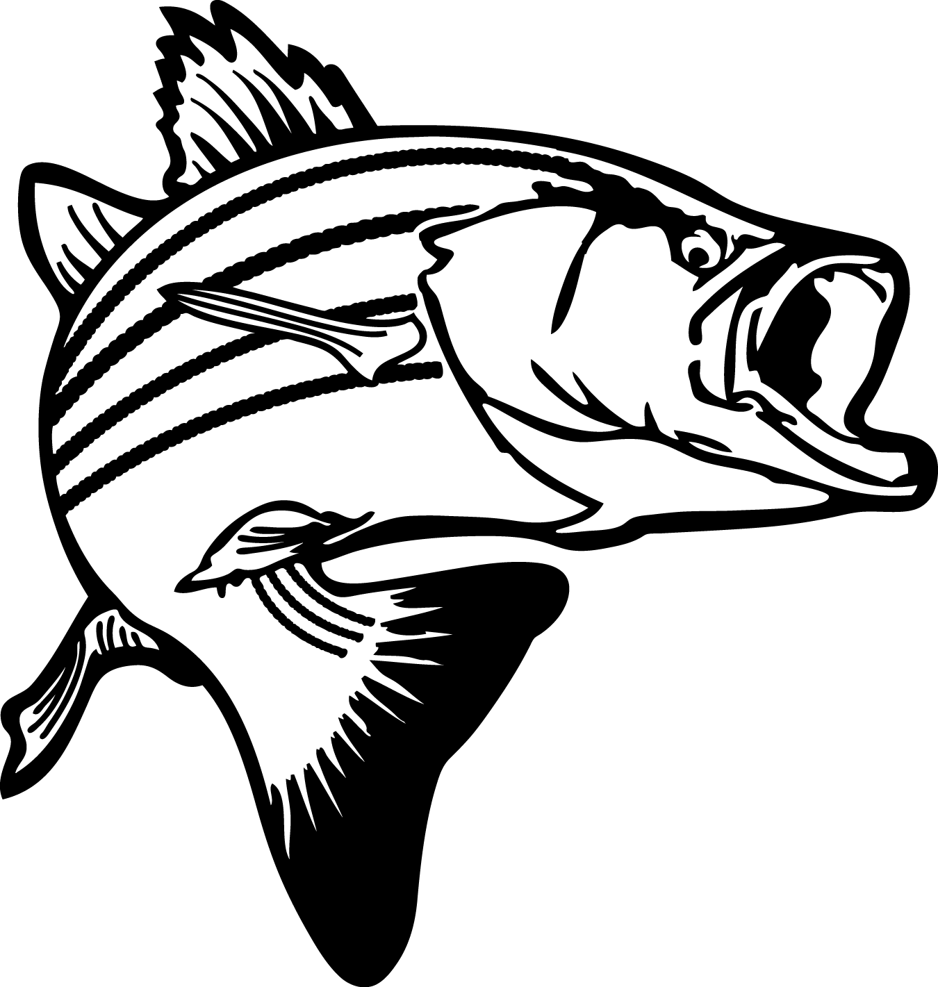 Bass Skeleton Cliparts - Striped Bass Clip Art (1350x1421), Png Download