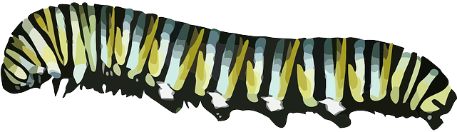 Caterpillar - Caterpillar Transparent (640x320), Png Download