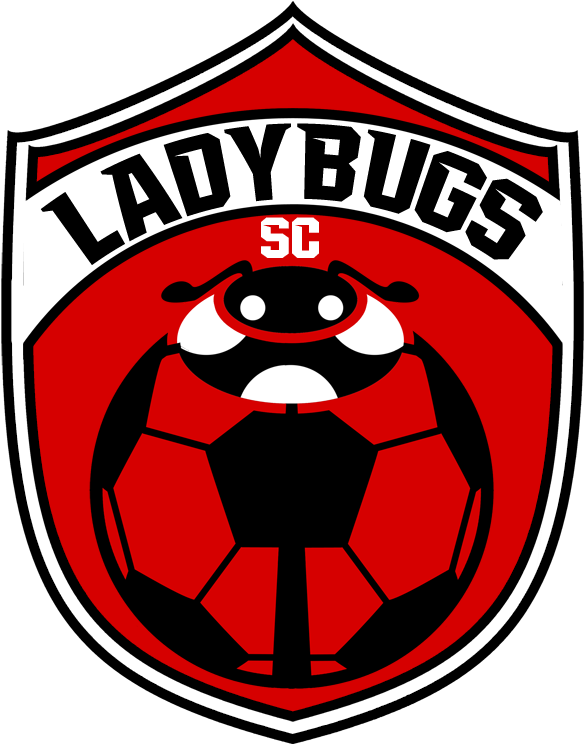 Ladybugs Soccer Crest - Wild Republic Soccer Sport Pillow, Black (729x858), Png Download